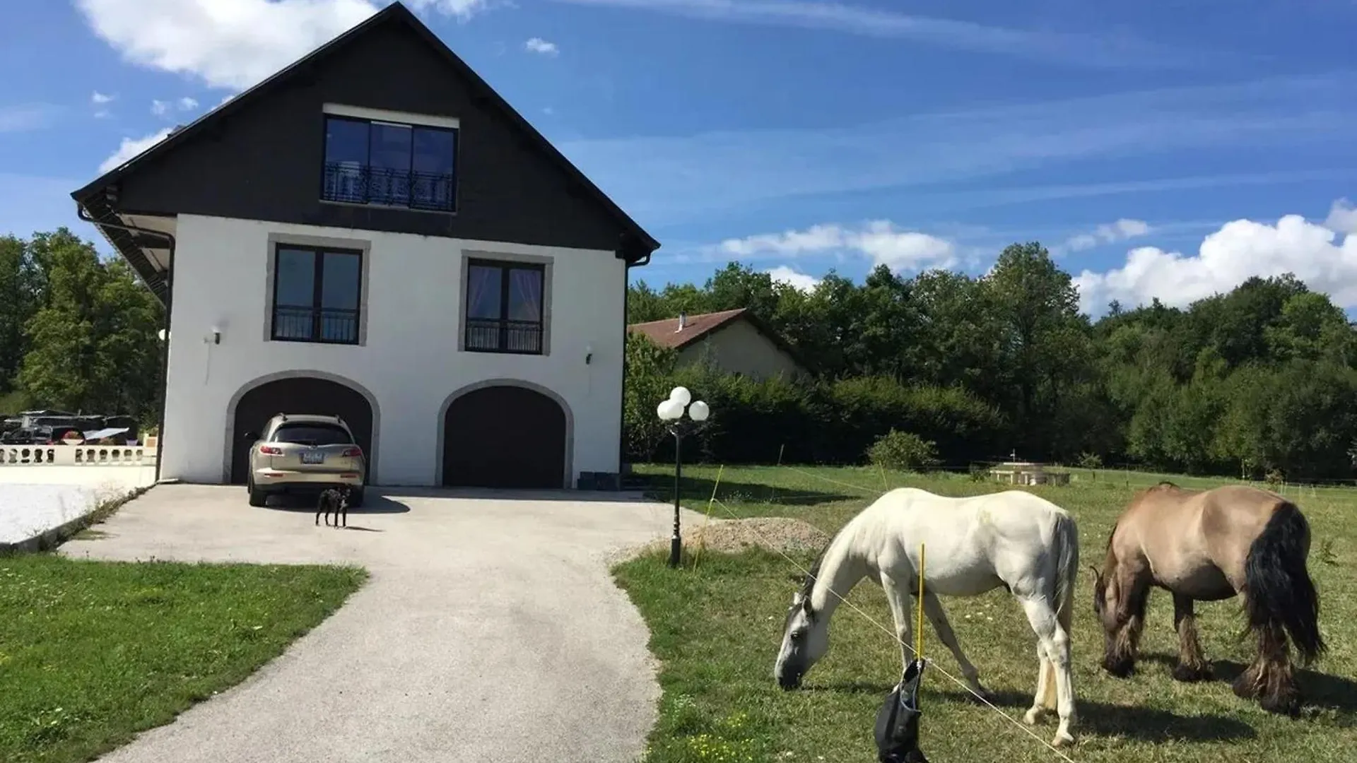 Villa Spacieuse Avec Piscine Pres De Geneve Cercier